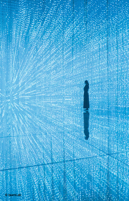 ArtScience Museum at Marina Bay Sands ® teamLab Future World