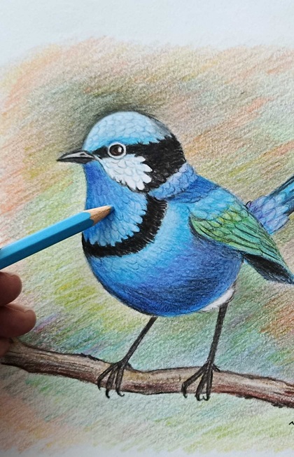 Coloured Pencils Workshop