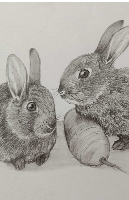 Pencil Drawing Workshop