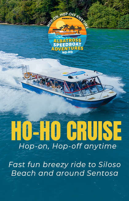Albatross Hop-On Hop-Off Speedboat Pass (1-Day with Unlimited Speedboat Rides)
