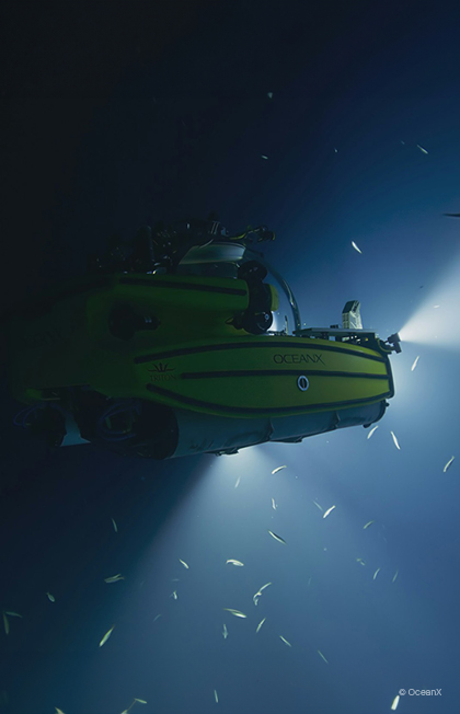 ArtScience Museum at Marina Bay Sands ® Into the Ocean: Journey Beneath