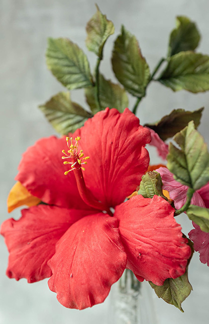 Create Edible Tropical Flowers - Hibiscus & Bougainvilleas