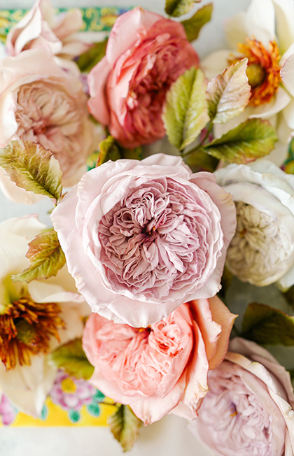 Create Your Own Edible Flower - Leonardo da Vinci Rose