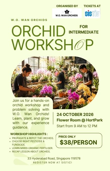 Orchid Workshop for Intermediate (Flower Room @ Hortpark)